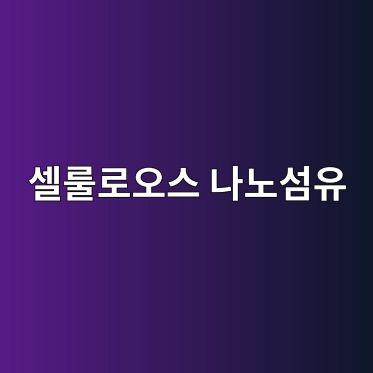 셀룰로오스 나노섬유