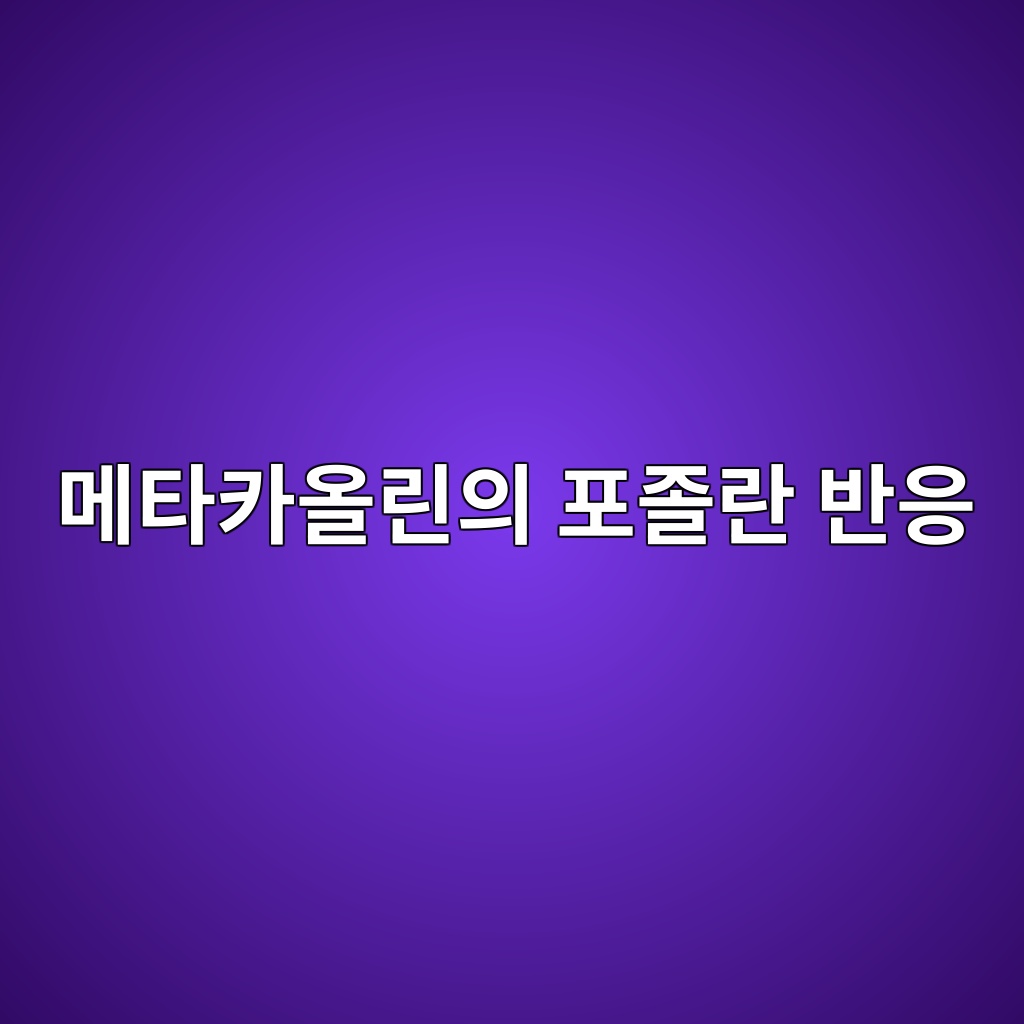 메타카올린의 포졸란 반응